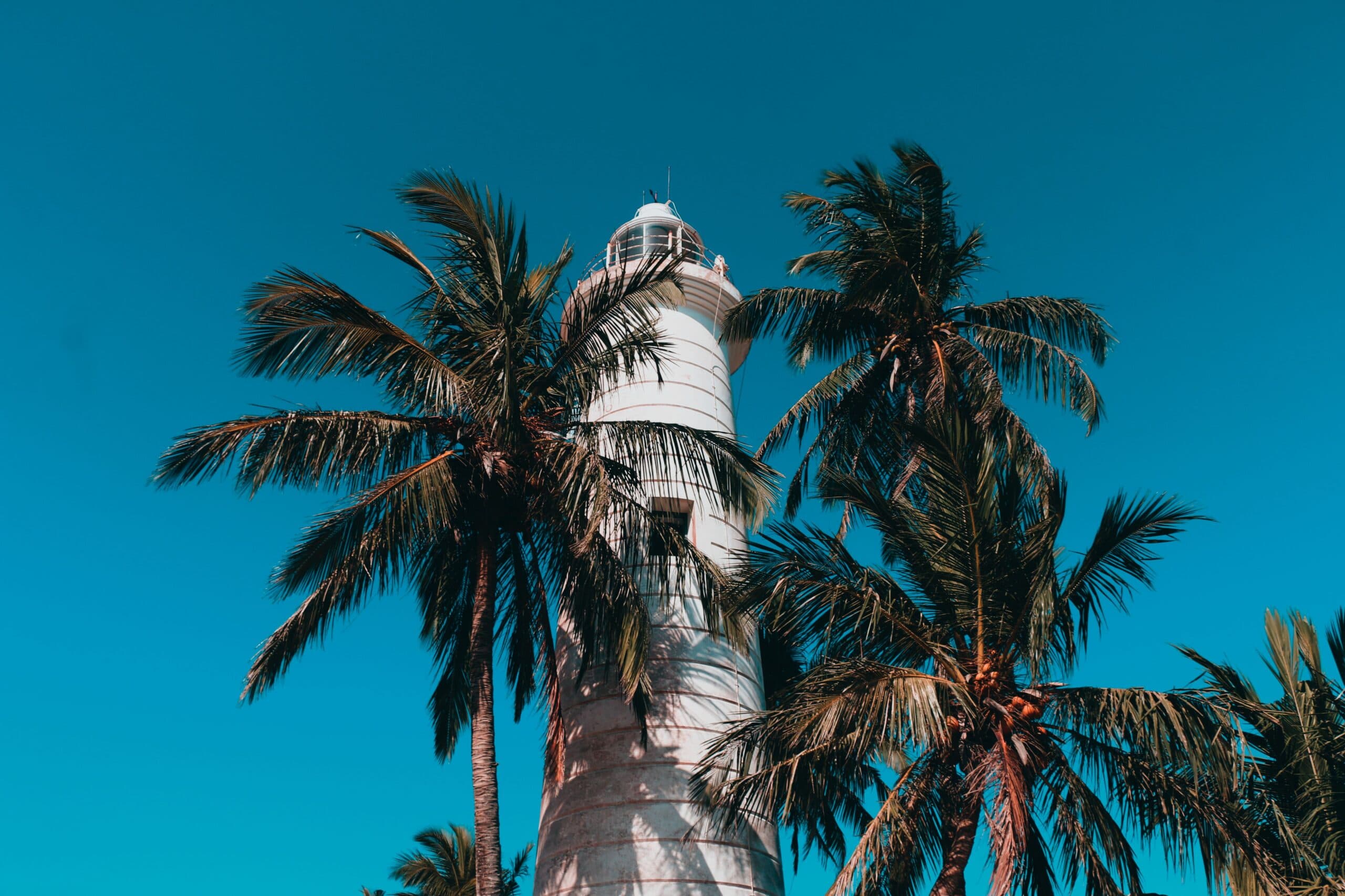 Lighthouse among palm trees